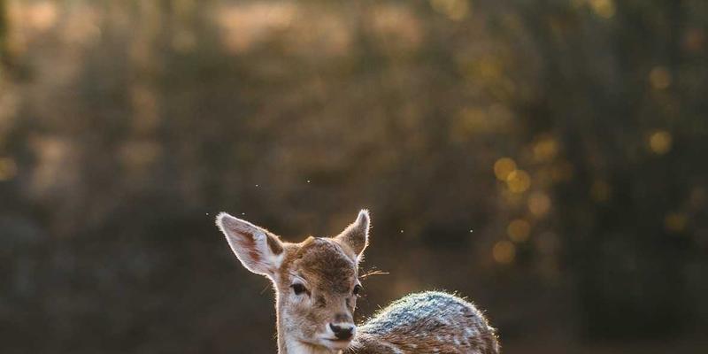 一起捞、折扣与团购：三大生活服务模式深度对比，教你聪明消费