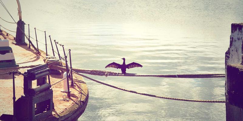 一起捞社区共享厨房：生活服务新业态如何赋能家庭厨艺与小型餐饮创业