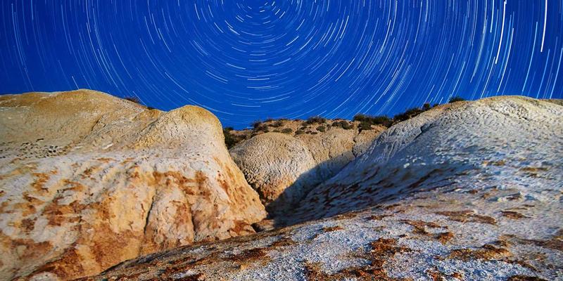 宠物家庭化服务：一站式省钱攻略，从上门喂养到专业训练的智能生活解决方案