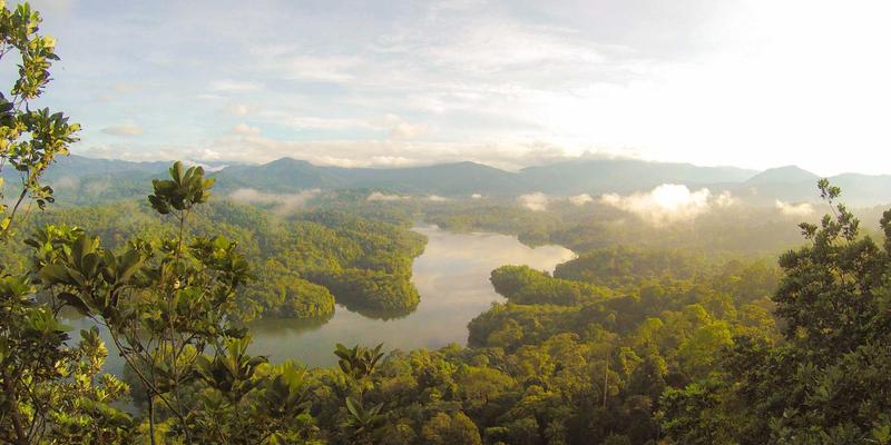 家庭绿植养护与室内空气优化：专业咨询与托管服务团购，尽在“一起捞”生活服务平台