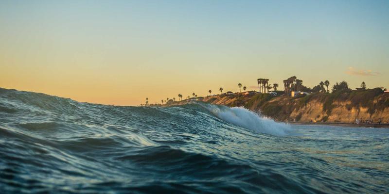 家庭绿植养护与庭院管理省钱攻略：聚合平台折扣打造都市微自然
