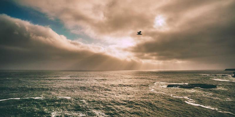 家庭节能改造团购攻略：与邻居一起捞省钱妙招，智能家居方案咨询全解析