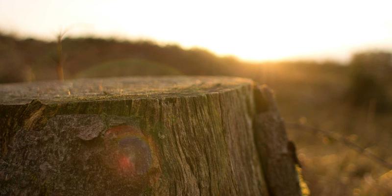 搬家服务全流程体验优化：如何借助生活服务与优惠信息，让打包搬运归置不再烦恼
