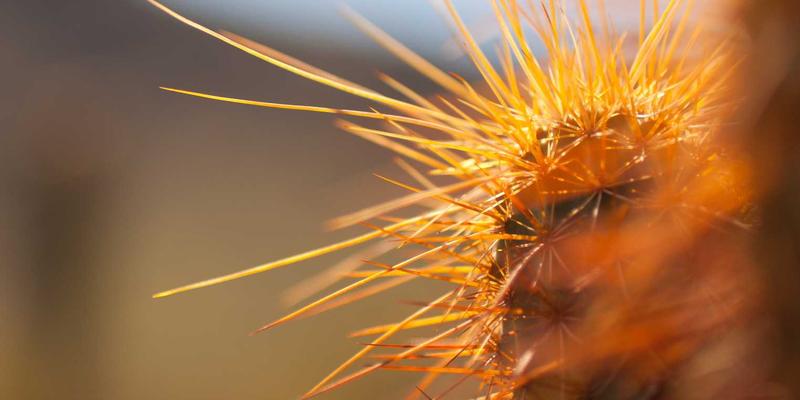 生活服务35 | 解锁优惠信息新玩法，一起捞尽全城折扣