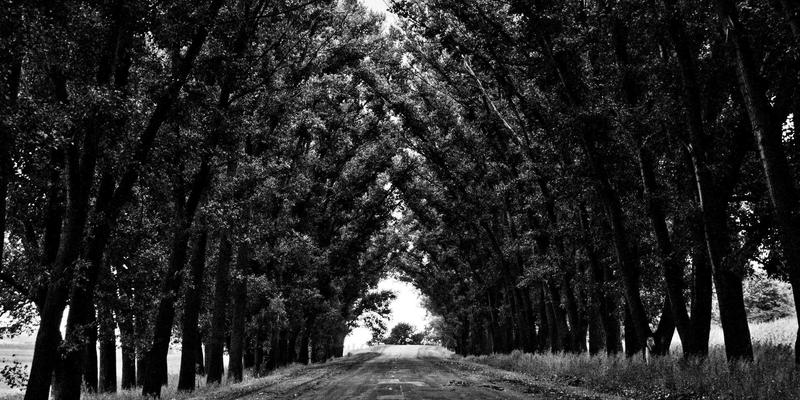 社区共享空间运营指南：如何通过聚合平台与优惠信息实现“一起捞”共赢