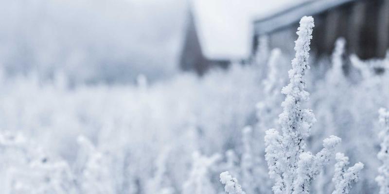 解锁城市生活新姿势：巧用‘一起捞’团购，轻松捕获超值优惠信息