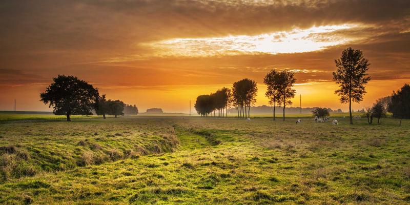 适老化改造限时优惠：智能家居与紧急呼叫系统整合方案，守护家人安全享专属折扣