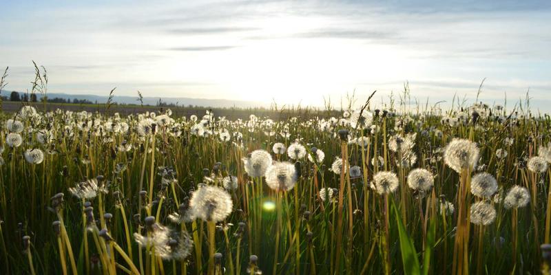 青少年课后托管新选择：社区学习空间与素质拓展聚合平台，一起捞优惠信息